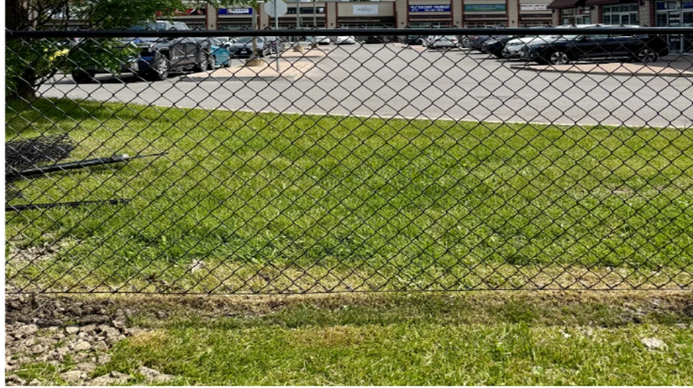 chain-link-fence-1000x560