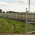 chain-link-fence-1000x560